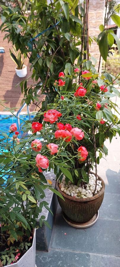 Riverlife Homestay Hoi An Esterno foto